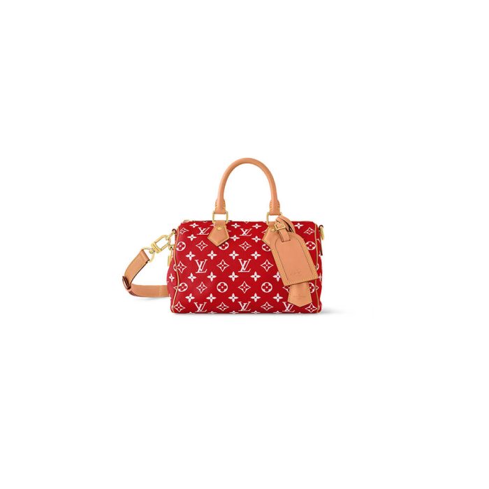 LV Speedy P9 Bandouliere 25 - Image 1
