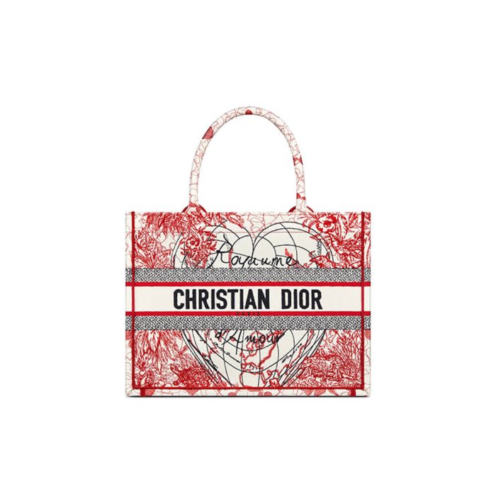 SMALL DIOR BOOK TOTE - Image 1
