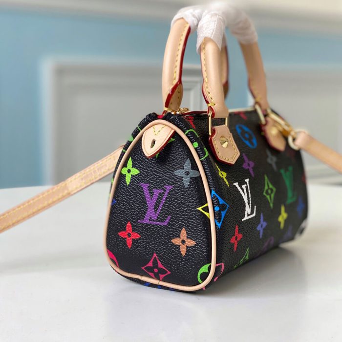 LV Multicolor Nano Speedy Bag - Image 3
