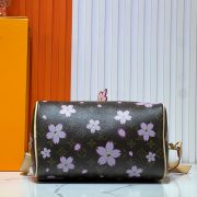 LV Speedy Bandouliere 25 - Image 5