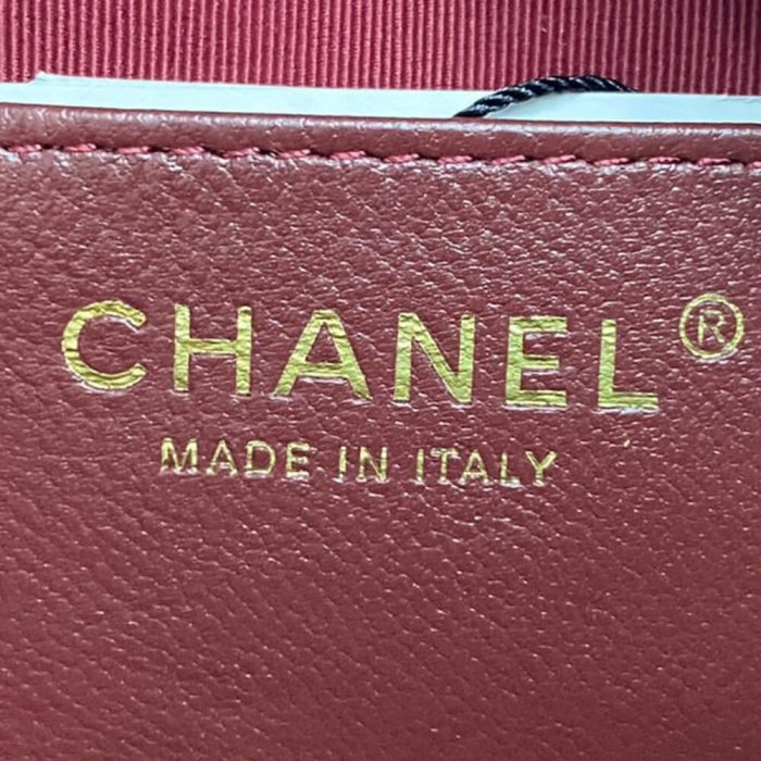CHANEL Mini Camera Case - Image 6