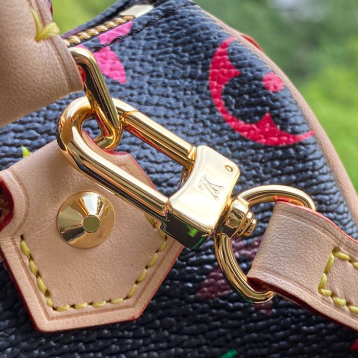 LV Multicolor Nano Speedy Bag - Image 6