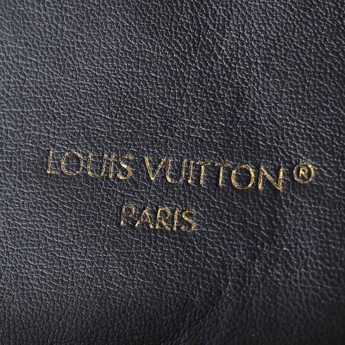 LV  Coussin PM Backpack - Image 7
